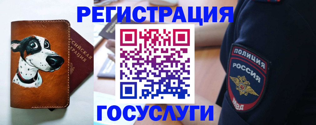 временная регистрация в квартире в Зеленокумске